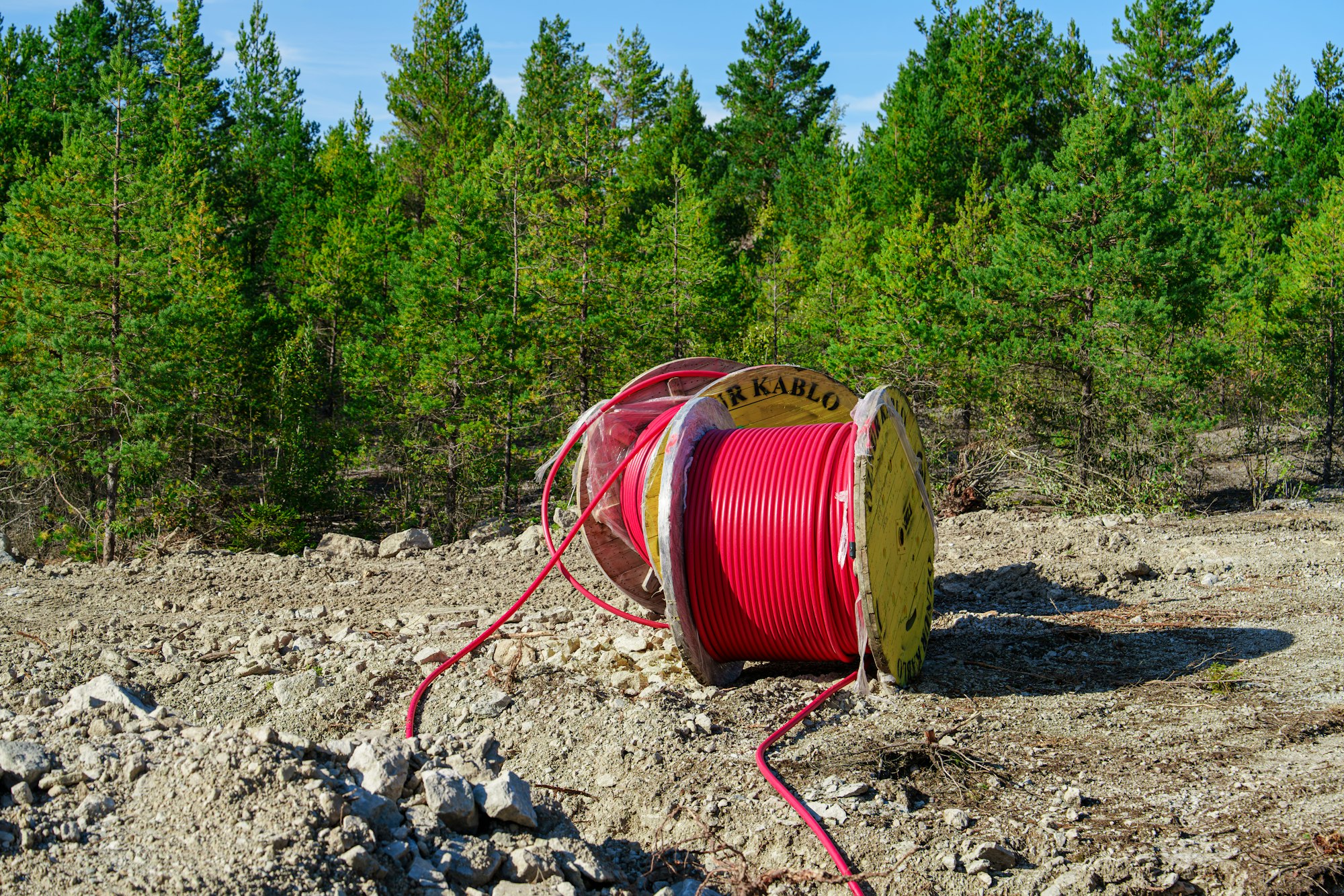 Wooden Reel with High Voltage Red Cable in Forest: Ready for Underground Power Line Installation